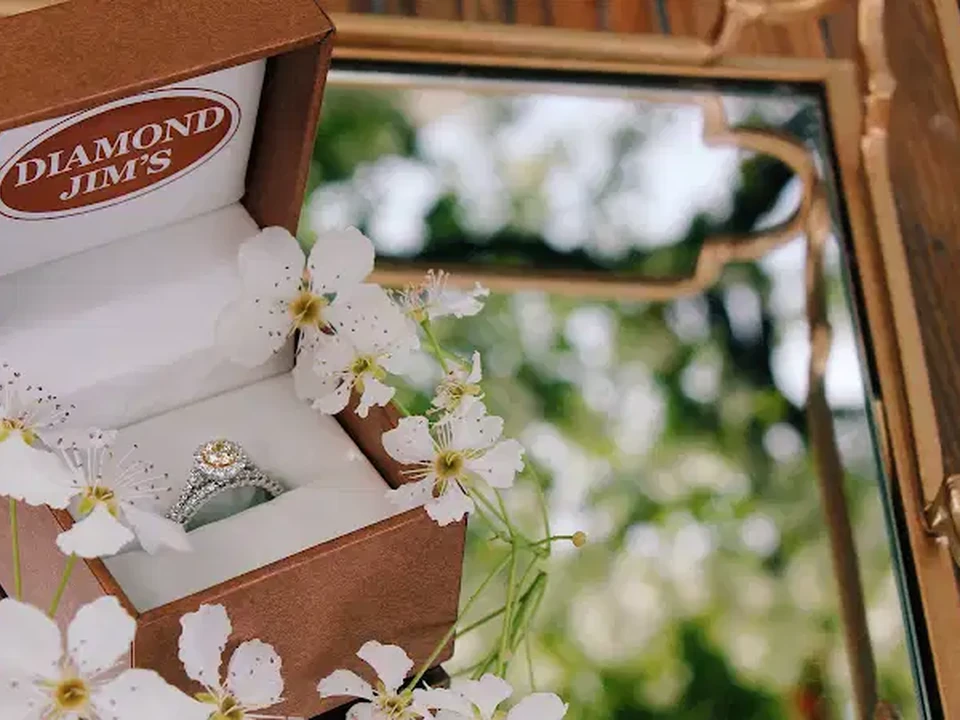 Diamond Jim’s jewelry presentation from a public business directory cover image.